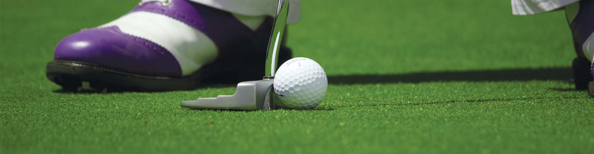 Greens Indoor Golf Simulators Maplewood, NJ - Photo 1